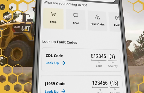 Cat Central Fault code image